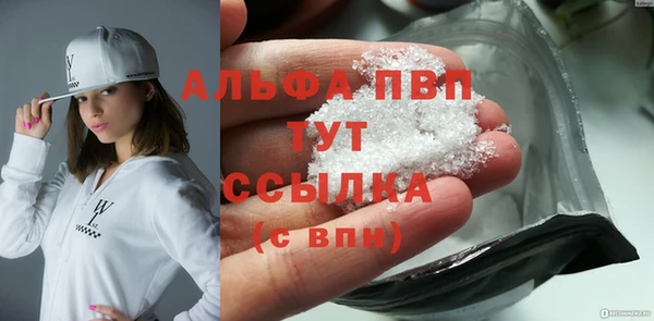 индика Заволжск