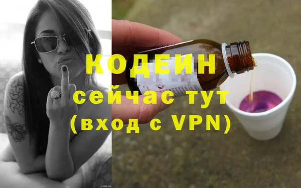 индика Заволжск