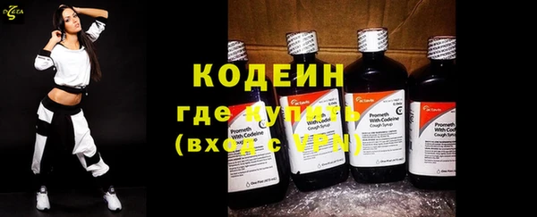 индика Заволжск