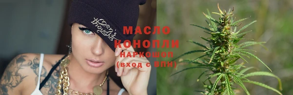 индика Заволжск