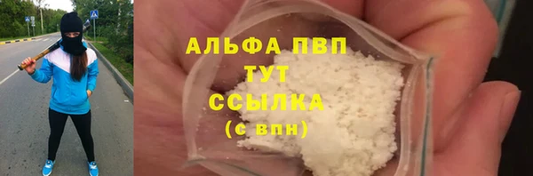 индика Заволжск