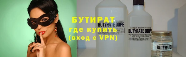 индика Заволжск
