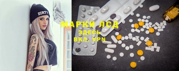 индика Заволжск