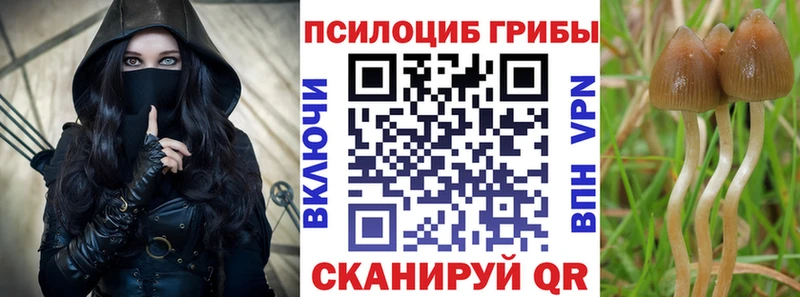 Купить где  Белая Калитва  Псилоцибиновые грибы прущие грибы 