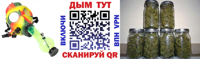 Купить где  Белая Калитва  Бошки марихуана VHQ 